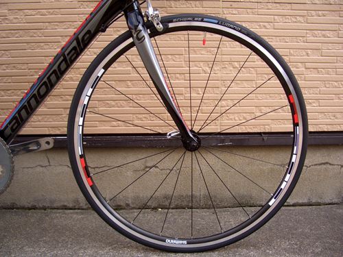 2013CaCAAD8-6BLK4.JPG