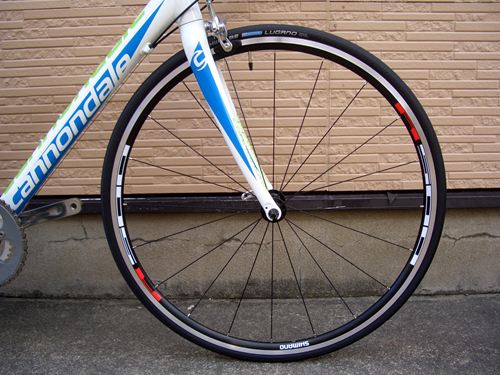 2013CaCAAD8-6REP002.JPG
