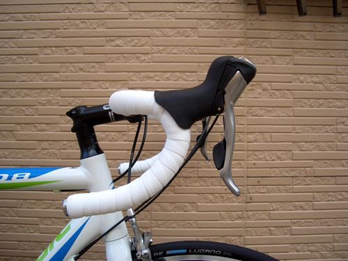 2013CaCAAD8-6REP003.JPG