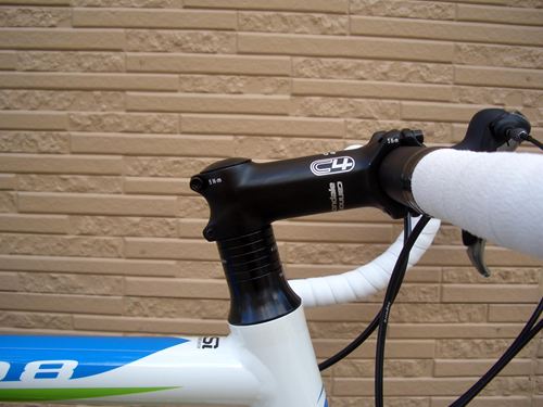 2013CaCAAD8-6REP004.JPG