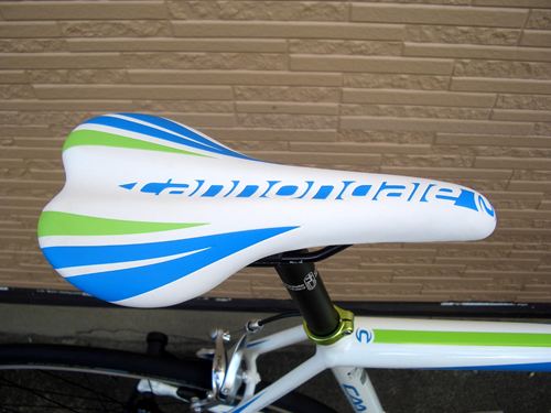 2013CaCAAD8-6REP009.JPG