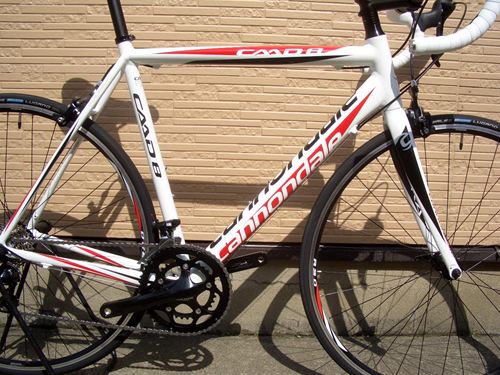 2013CaCAAD8-7%20WHT-10.JPG