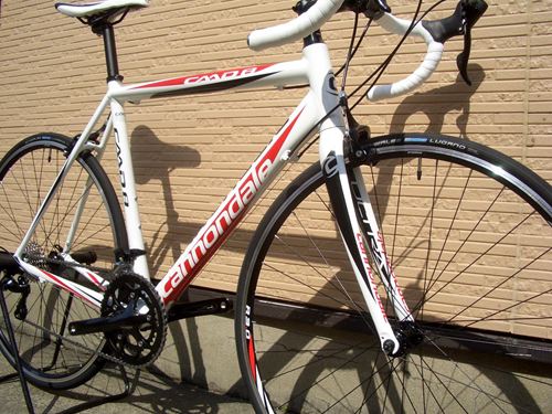 2013CaCAAD8-7%20WHT-12.JPG