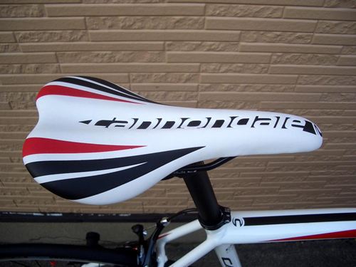 2013CaCAAD8-7%20WHT-18.JPG