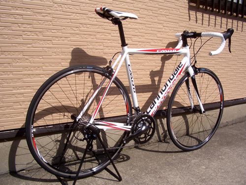 2013CaCAAD8-7%20WHT-3.JPG