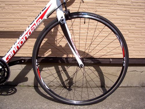 2013CaCAAD8-7%20WHT-4.JPG