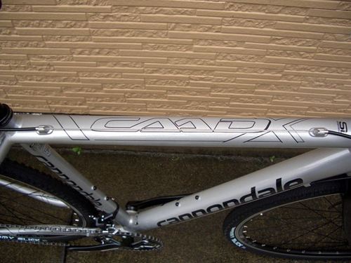 2013CaCAADX%20SORA017.JPG