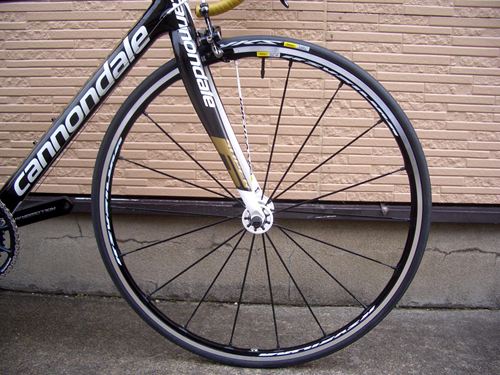 2013CaEVO%20HI-MOD%20-4.JPG