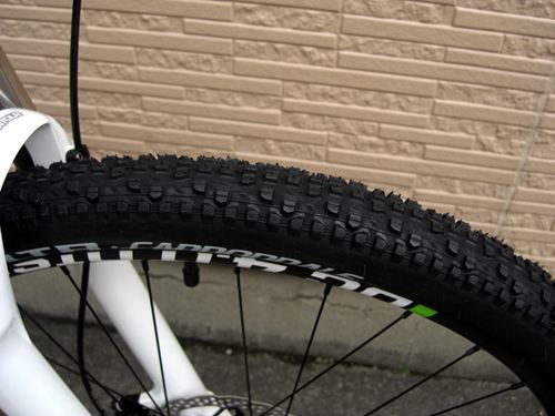 2014Ca%EF%BE%84%EF%BE%9A%EF%BD%B2%EF%BE%9929-4WHT005.JPG