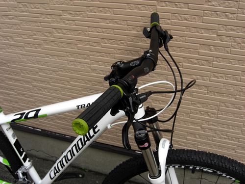 2014Ca%EF%BE%84%EF%BE%9A%EF%BD%B2%EF%BE%9929-4WHT011.JPG