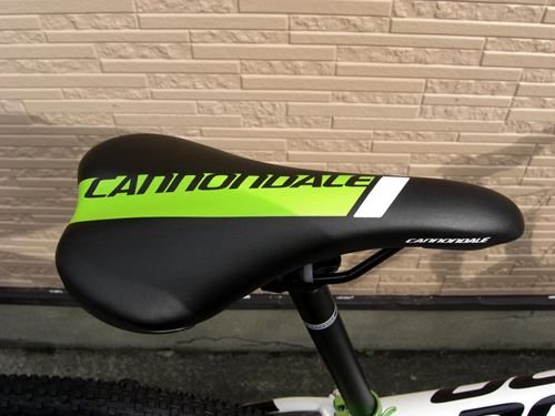2014Ca%EF%BE%84%EF%BE%9A%EF%BD%B2%EF%BE%9929-4WHT013.JPG