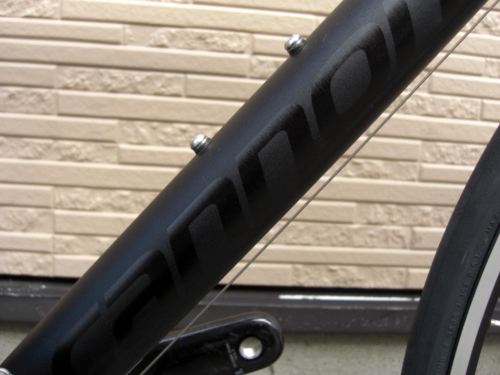 2014CaCAAD10-3BLK013.JPG