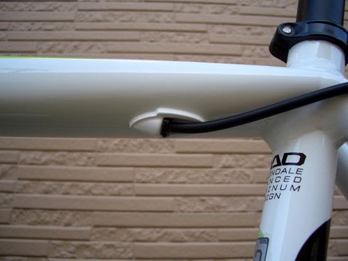 2014CaCAAD10-5WHT030.JPG