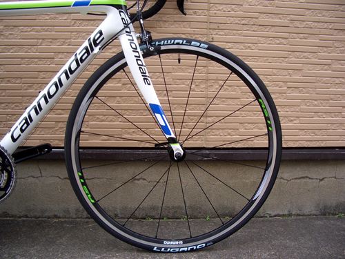 2014CaEVO105REP002.JPG