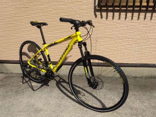 2015Ca%EF%BE%84%EF%BE%9A%EF%BD%B2%EF%BE%997Yellow000.JPG