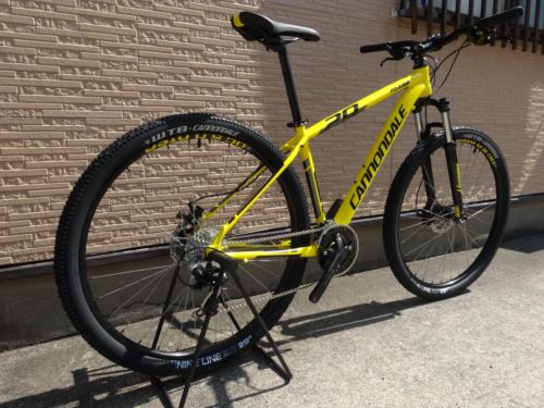 2015Ca%EF%BE%84%EF%BE%9A%EF%BD%B2%EF%BE%997Yellow002.JPG