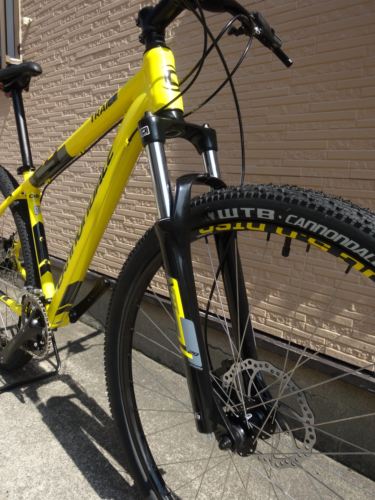 2015Ca%EF%BE%84%EF%BE%9A%EF%BD%B2%EF%BE%997Yellow004.JPG