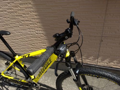2015Ca%EF%BE%84%EF%BE%9A%EF%BD%B2%EF%BE%997Yellow005.JPG