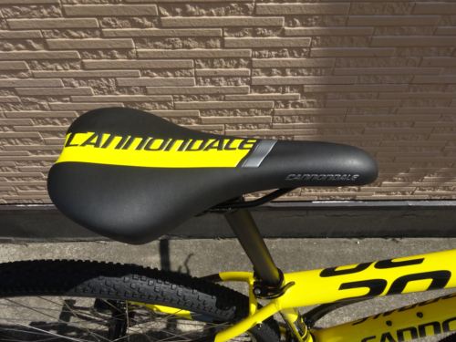 2015Ca%EF%BE%84%EF%BE%9A%EF%BD%B2%EF%BE%997Yellow006.JPG