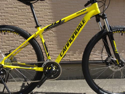 2015Ca%EF%BE%84%EF%BE%9A%EF%BD%B2%EF%BE%997Yellow007.JPG