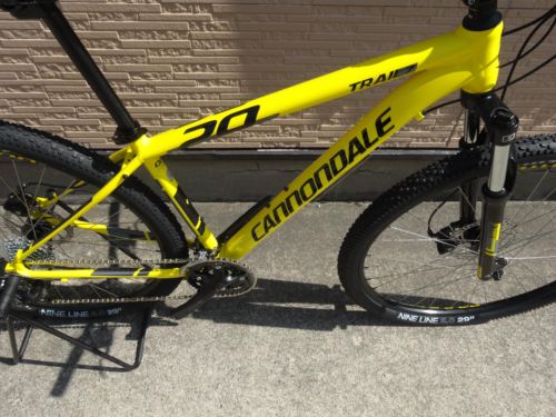 2015Ca%EF%BE%84%EF%BE%9A%EF%BD%B2%EF%BE%997Yellow008.JPG