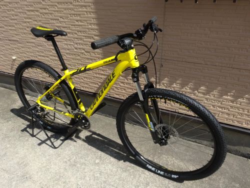 2015Ca%EF%BE%84%EF%BE%9A%EF%BD%B2%EF%BE%997Yellow014.JPG