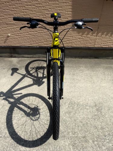 2015Ca%EF%BE%84%EF%BE%9A%EF%BD%B2%EF%BE%997Yellow016.JPG