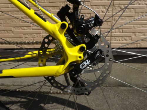 2015Ca%EF%BE%84%EF%BE%9A%EF%BD%B2%EF%BE%997Yellow021.JPG