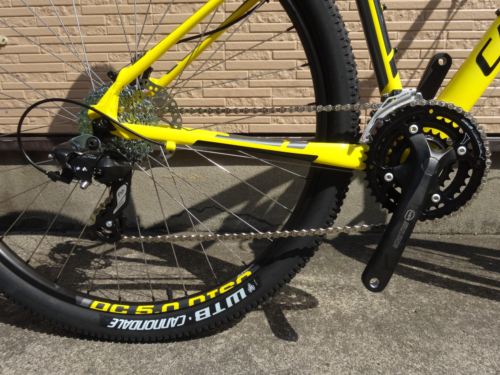 2015Ca%EF%BE%84%EF%BE%9A%EF%BD%B2%EF%BE%997Yellow022.JPG