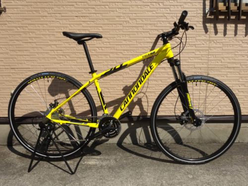 2015Ca%EF%BE%84%EF%BE%9A%EF%BD%B2%EF%BE%997Yellow029.JPG