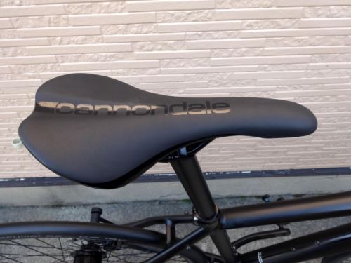 2015CaBADBOY1010.JPG