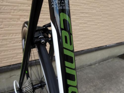 2015CaCAAD10%20105%20REP021.JPG