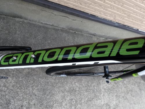 2015CaCAAD10%20105%20REP029.JPG