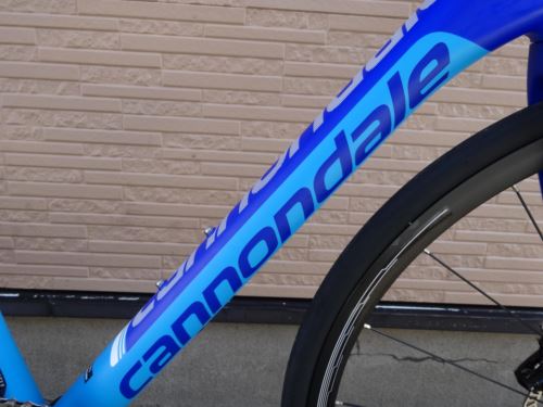 2015CaCAAD10DISC016.JPG