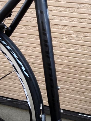 2015CaCAAD10ULTEGRA016.JPG