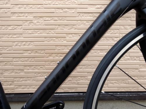 2015CaCAAD10ULTEGRA017.JPG