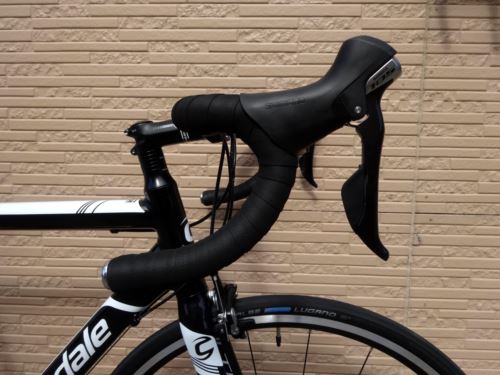 2015CaCAAD8%20105%20BLK004.JPG