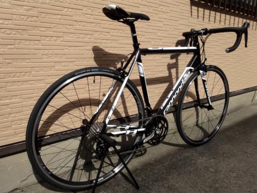 2015CaCAAD8%20105%20BLK010.JPG