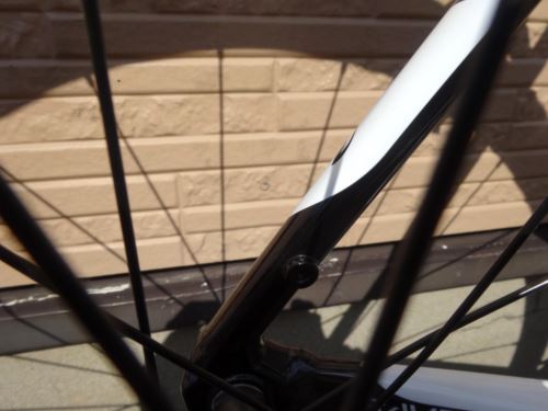 2015CaCAAD8%20105%20BLK018.JPG