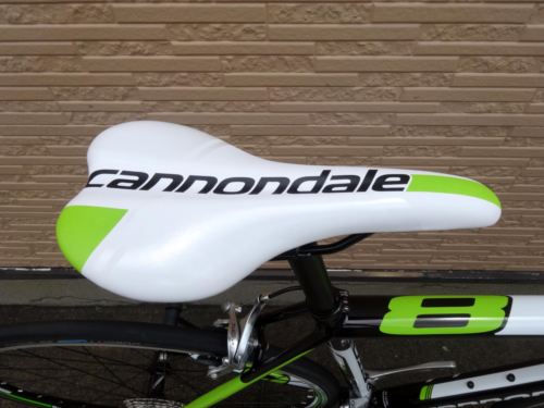2015CaCAAD8%20BLK009.JPG