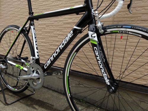 2015CaCAAD8%20BLK014.JPG