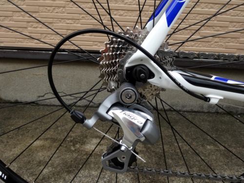 2015CaCAAD8-6%20WHT000.JPG