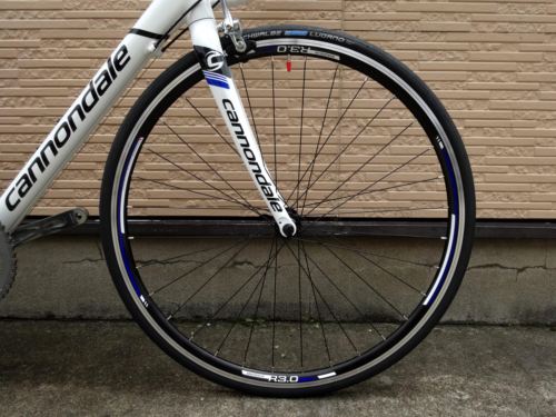 2015CaCAAD8-6%20WHT002.JPG