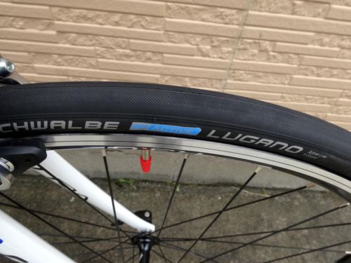 2015CaCAAD8-6%20WHT003.JPG