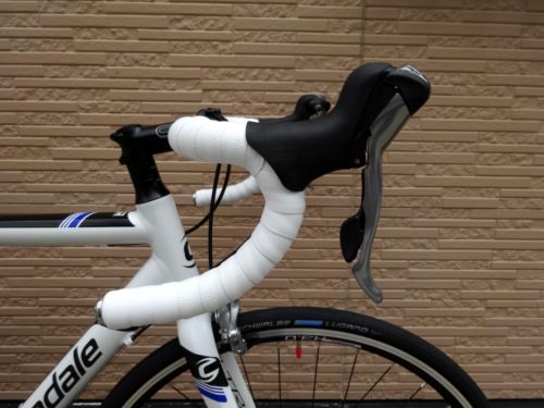 2015CaCAAD8-6%20WHT004.JPG