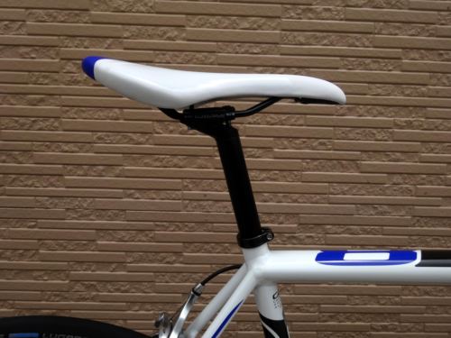 2015CaCAAD8-6%20WHT007.JPG