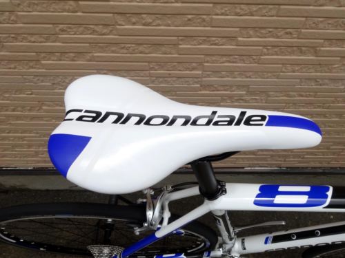 2015CaCAAD8-6%20WHT008.JPG