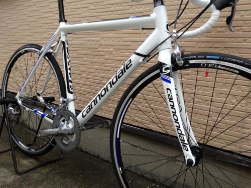 2015CaCAAD8-6%20WHT011.JPG