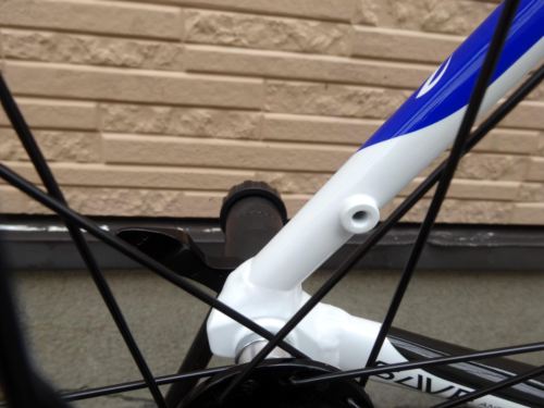 2015CaCAAD8-6%20WHT014.JPG