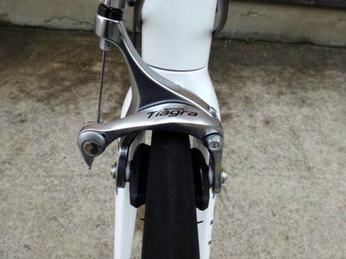 2015CaCAAD8-6%20WHT018.JPG